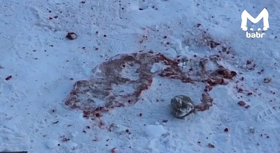 �������, ����������� ������� � �������, ���������