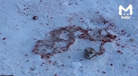 �������, ����������� ������� � �������, ���������