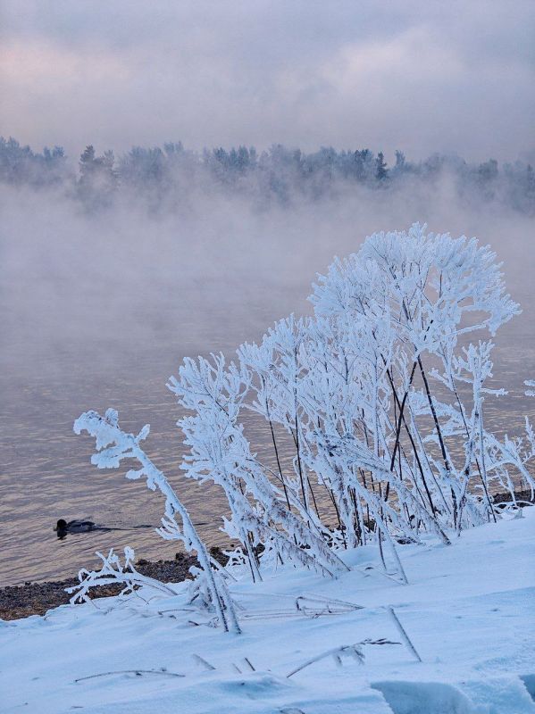 �������. ������.. ����: ���� ������