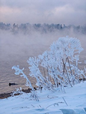 �������. ������.. ����: ���� ������