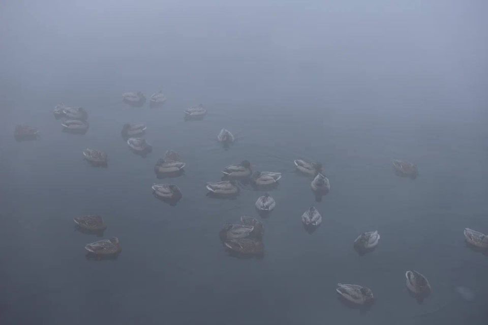 ������ ����, ��������� �������!