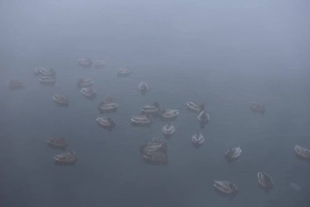 ������ ����, ��������� �������!