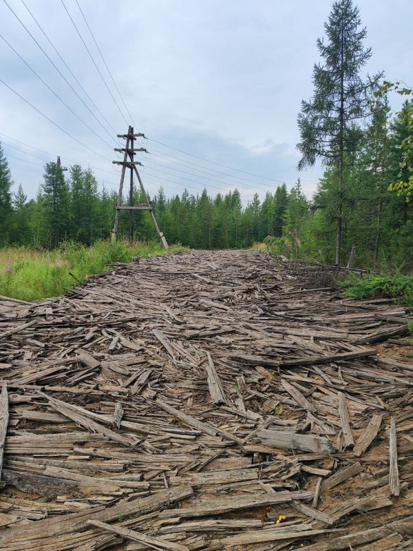 В результате вмешательства прокуратуры Казачинско-Ленского района ликвидирована несанкционированная свалка отходов лесопиления