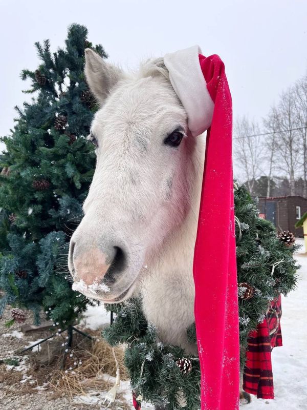 ������ ����, ��������� �������!