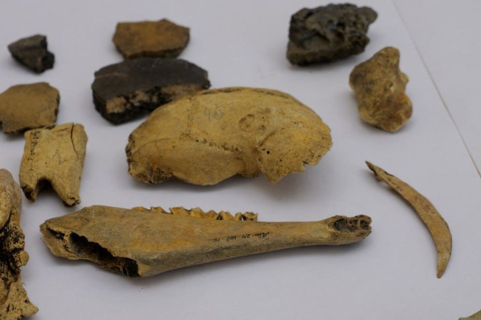 В Иркутской области обследовано более 100 археологических объектов