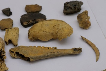 � ��������� ������� ����������� ����� 100 ��������������� ��������