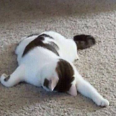 ������ ������ �����. ��� ��� �� ��������� � � MAX, ��� �������