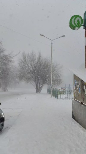 ������� ����� ������� ������