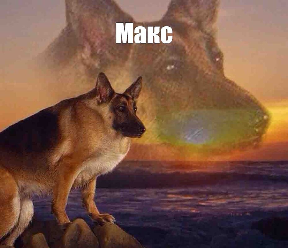 "Вести-Иркутск" в мессенджере MAX!