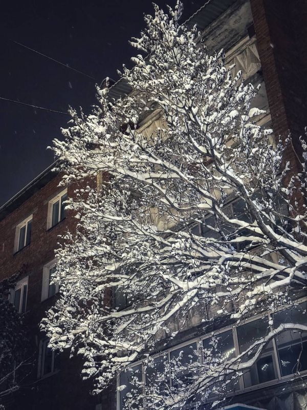 ������ ����, ��������� �������!