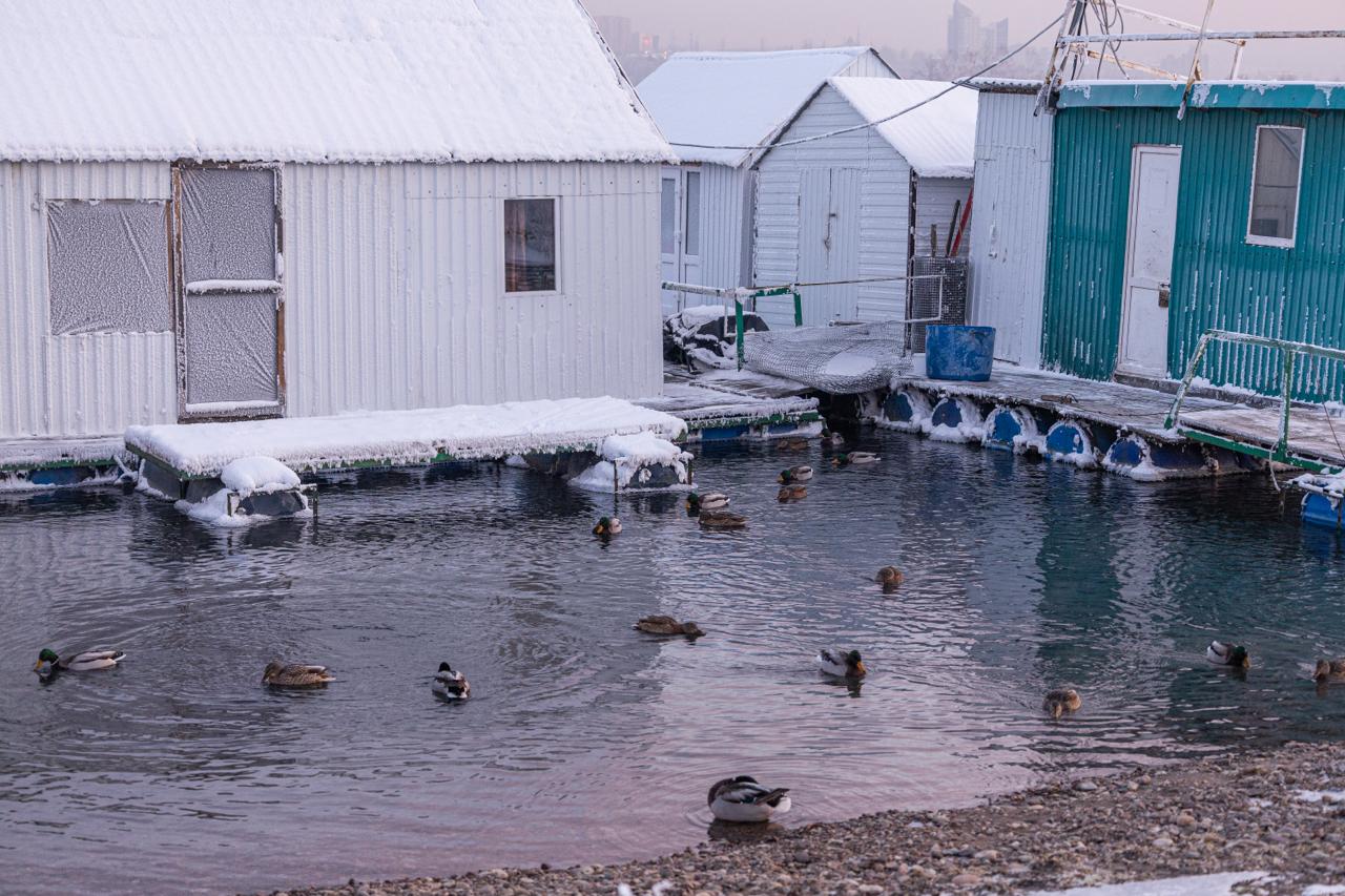 Доброго морозного утра, иркутяне! Сегодня в городе переменная облачность, небольшой снег, ветер северо-западный 510 м/с, температура утром -21°, днем -14 Доброго морозного утра, иркутяне! Сегодня в городе переменная облачность, небольшой снег, ветер северо-западный 510 м/с, температура утром -21°, днем -14
