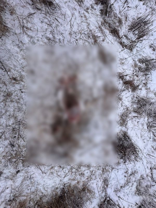 � ������-����������� ������ ��� ����� �������� ��������, �������������� ���� ������