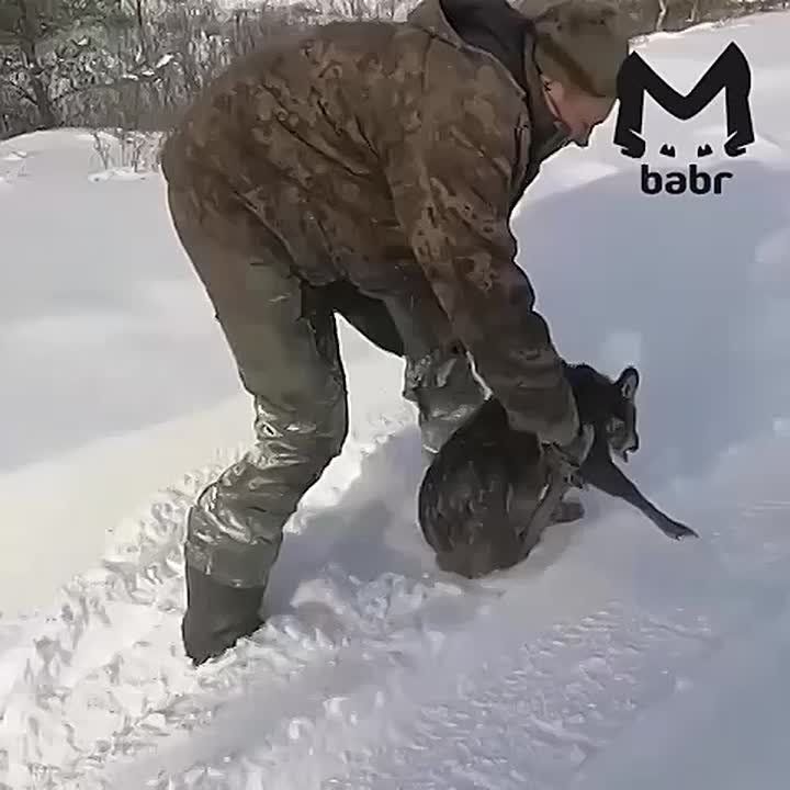 ���������� �������������� ��������� ������� ������� ��������� �� �������� �����