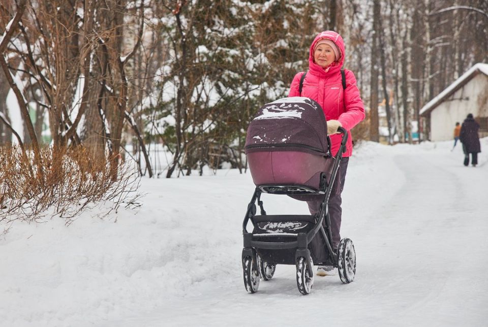 ����� ������ ������� ������� �� ������ 2026 � ��������� �������?