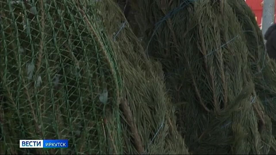 ������ ���� �� ������� ������� �������� ������� ���������� �����������������