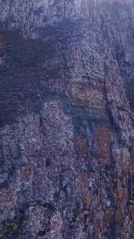 ����� �����, ����� ������ ��������� �������, ������