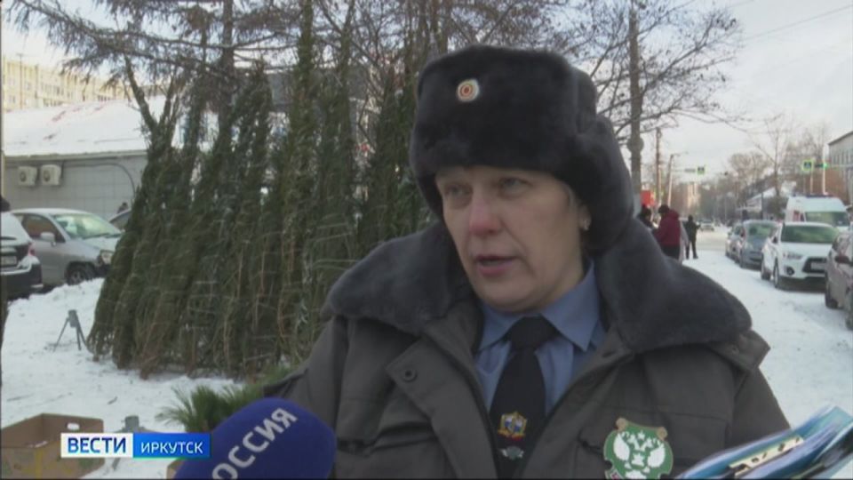 ���������� ����������������� ��������� ������� ������ ���������