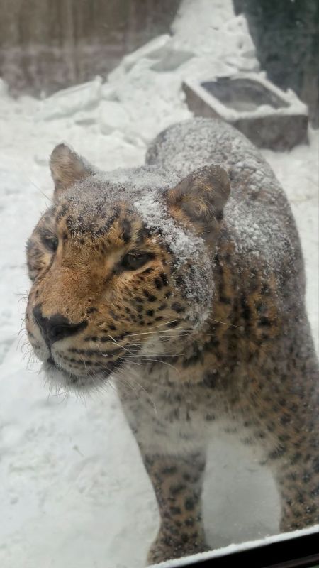 � ������ �����. ������� � �������� ���� ��������� ������� �� -18