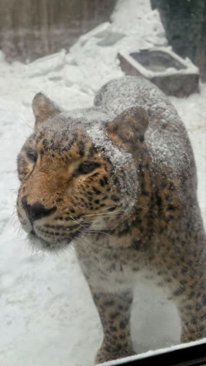 � ������ �����. ������� � �������� ���� ��������� ������� �� -18