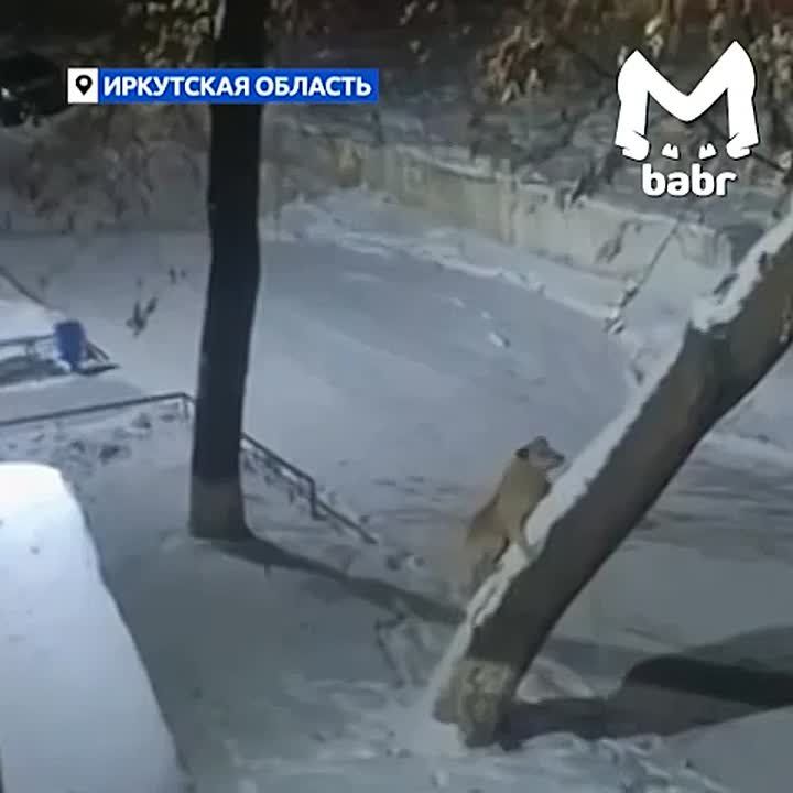 ������-��-�������-�������� ���� � ����