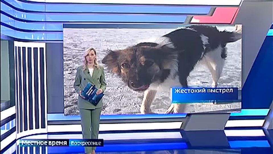 Напомним, резонансный инцидент произошел в апреле 2024-го