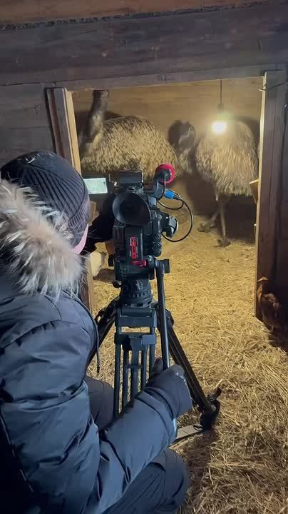 ���� � ����. ������ �� ��� ���� � ����