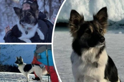 ��������, ��� ��� ������� ����, � � ����� �� �����������: � �������� ������� �������� �� ���� �� �������� ������