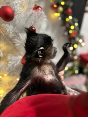 ������ ����, ��������� �������!