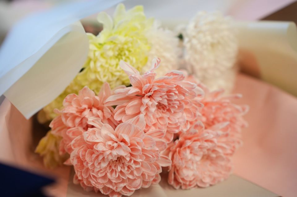 ���������� �������� ������ ����������� ��������� ������� �� ���������� � ������� �������� � ���������