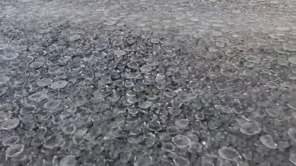 ����� ������: ������ ����������: 30 ������� 2025 ���� ���������� �������� ��������� �������� ��������� ������� � ������