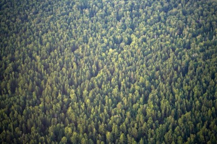 ��������� ������� ����� ������� ����� �������� ������ �� �������� ������-����� �����������������