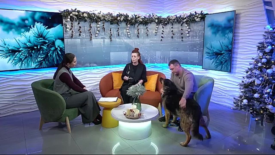 ������ ��������, ������� �����������/ ����