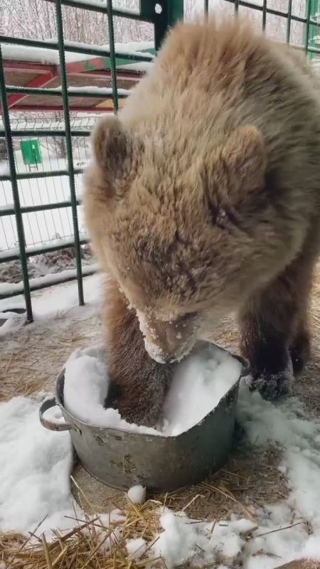 ������ ����, ��������� �������!