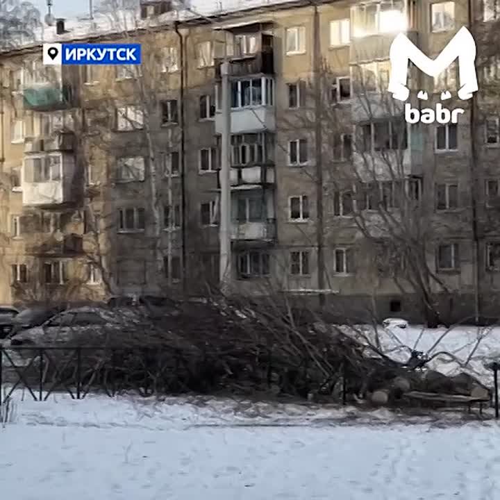 На массовую вырубку здоровых деревьев во дворах жалуются жители Иркутска