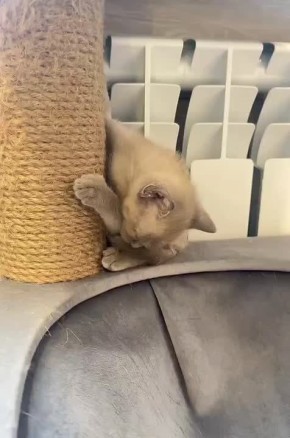 ����� ������� ����� ���� � �����, ��������, ���� ��� ��������� ������� ����