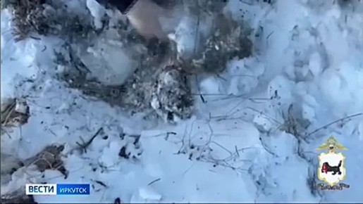 12 лет колонии строго режима