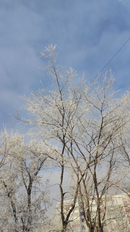 С добрым утром. Сегодня в Иркутске будет довольно тепло: до - 8 днем