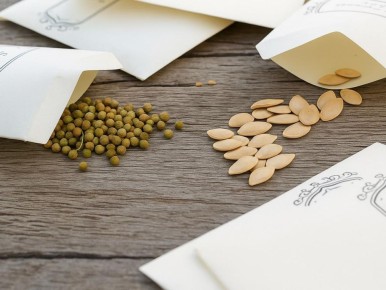 Зимние закупки семян: как подготовить идеальный урожай к сезону 2026