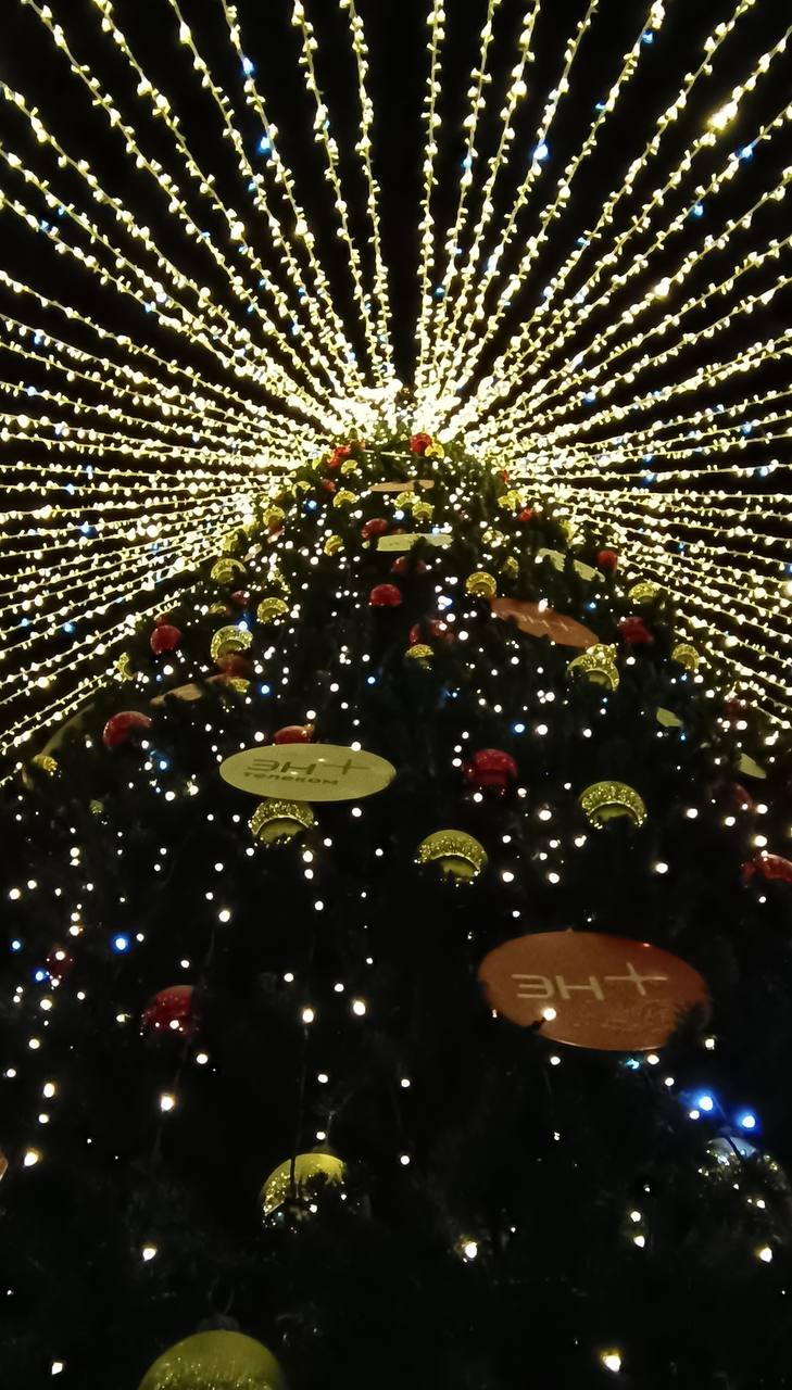 В Иркутске открылась новогодняя площадка от Эн+ В Иркутске открылась новогодняя площадка от Эн+