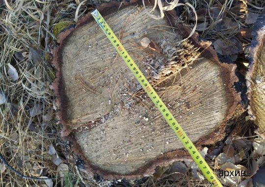 ����� ������������� ����������� ������������ �������� ������������� �� ������ ������ �������� � ���������� �����������