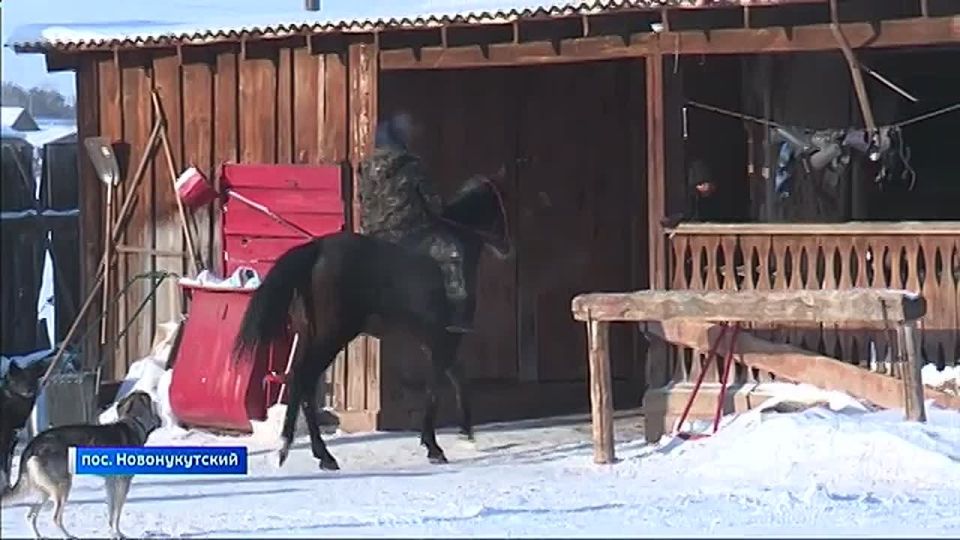 ������ ����� ����������� �������� �������