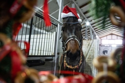 � ����� �������, ��� �������� � �������� ������: ���������� ���� ���������, ��� ��������� ��������� ��� �������� ������