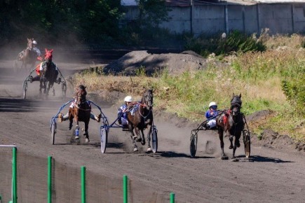 Иркутскому ипподрому присвоен статус племенной организации