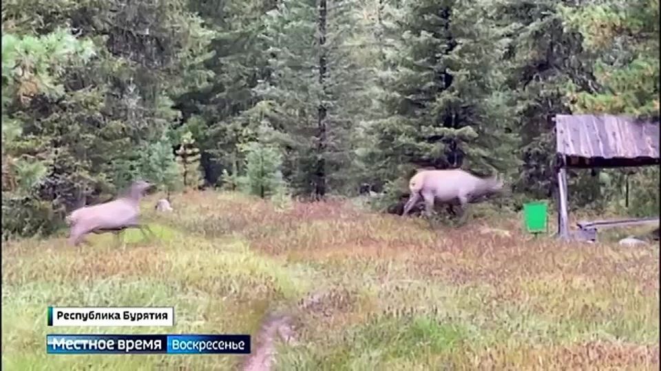 ������� ����������. ����� ���� � ����� �����