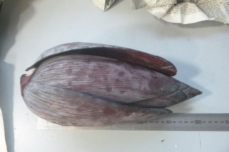 Вьетнамец пытался незаконно ввезти в Иркутск около 3 кг замороженных червей