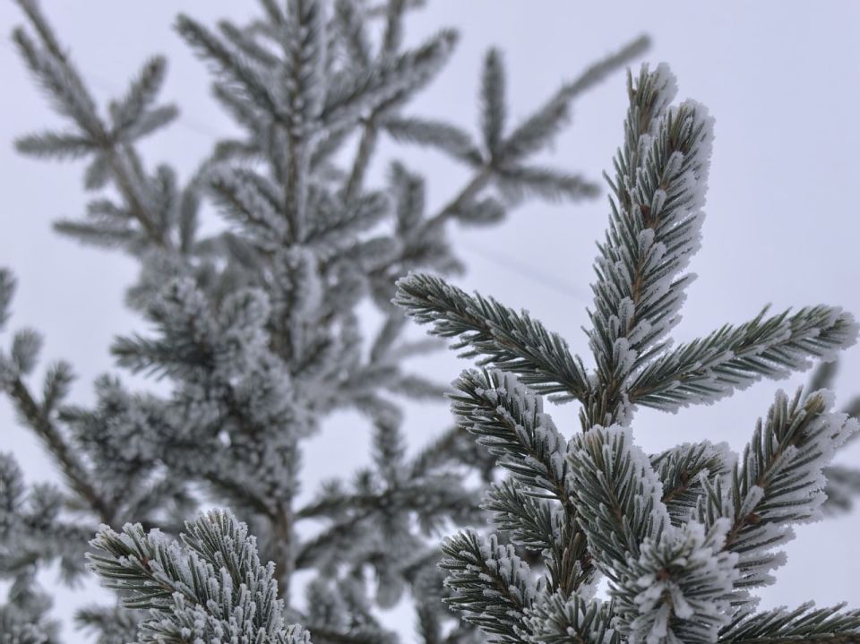 � ��������� ����������� ��������� ���� � �������� ���� ��������� -14�