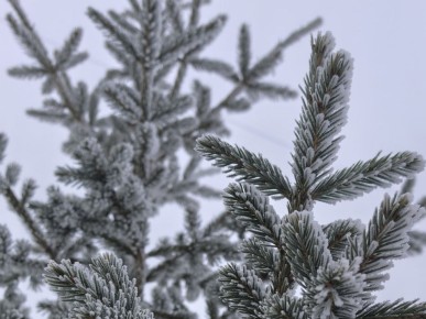 � ��������� ����������� ��������� ���� � �������� ���� ��������� -14�