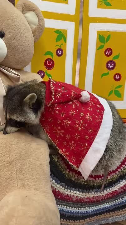 ���� ������ �� ���������� �������� ���� � ������� ���������� ����������