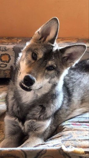 ������ ����, ��������� �������!