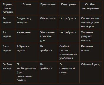 ���������� ������� ������� � ������ ����